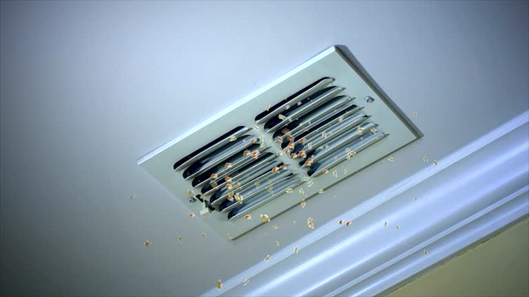 Best Emergency Air Duct Cleaning  in Lake Barrington, IL