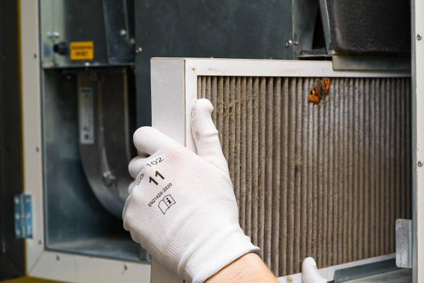 Best Air Duct Inspection  in Lake Barrington, IL