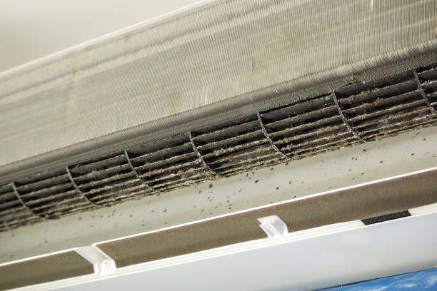 Best HVAC Duct Inspection Services  in Lake Barrington, IL